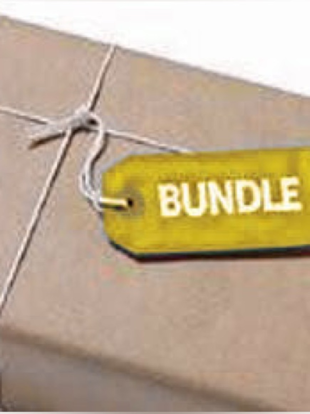 Bundle for Fina